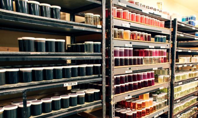 A shelf full of small containers of colorful solutions in the Dairy Dynamics testing facility